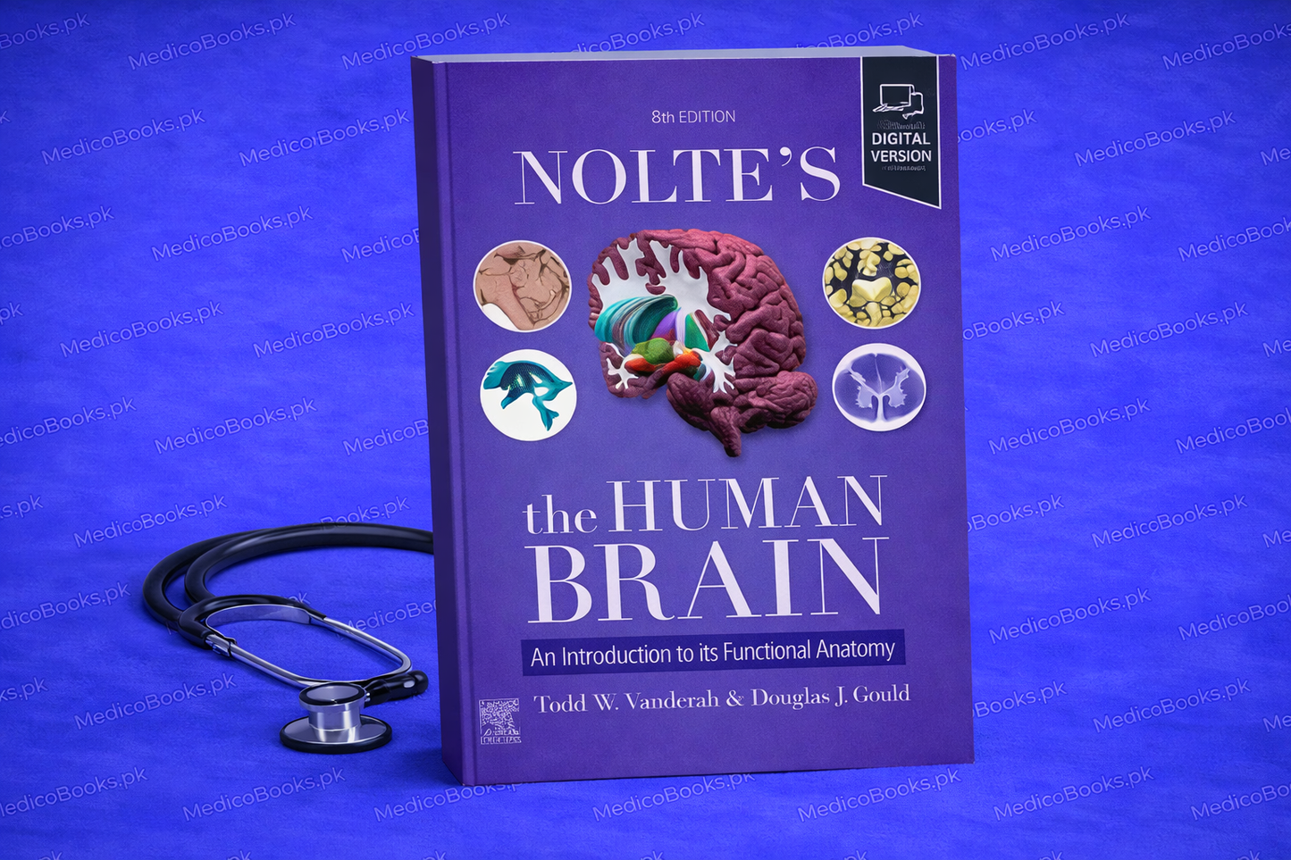 Nolte's The Human Brain: An Introduction to its Functional Anatomy 9th Edition by Todd W. Vanderah PhD