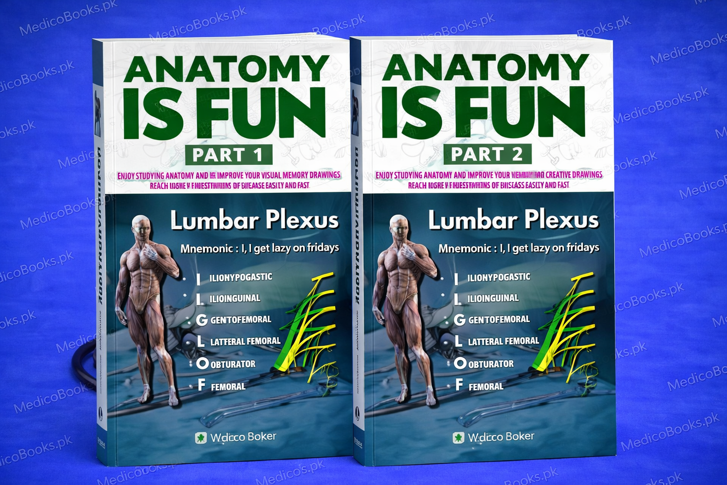 Anatomy Is Fun part 1&2 edition By Dr. Gohari