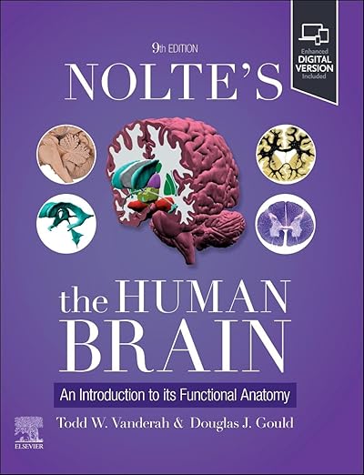 Nolte's The Human Brain: An Introduction to its Functional Anatomy 9th Edition by Todd W. Vanderah PhD